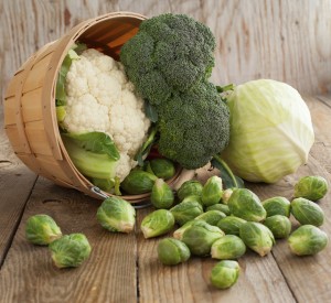 Still life with assortment cabbages on wooden background